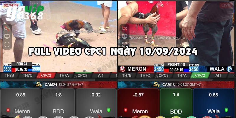 Ảnh đại diện cpc1 1009