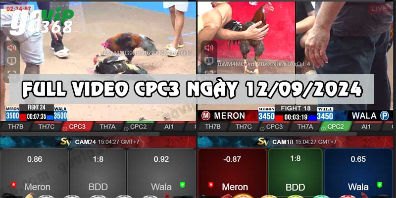 Ảnh đại diện video