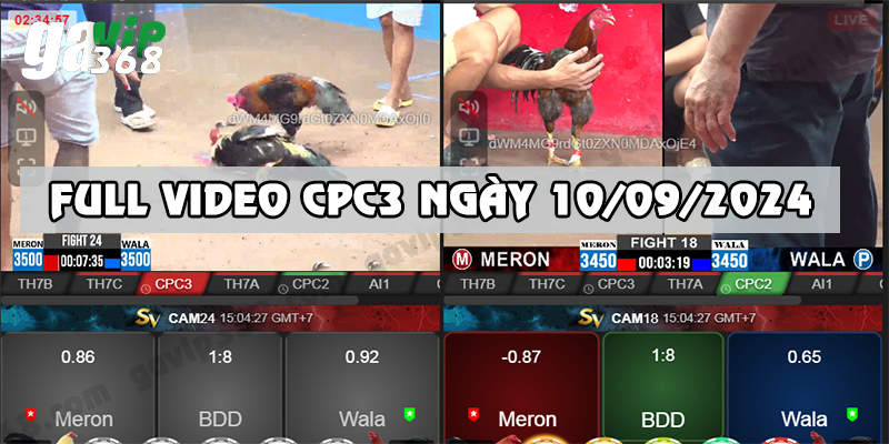 Ảnh minh hoạ cpc3 ngày 1009